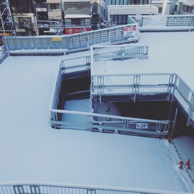 雪が降るかも⛄️

東京地方は明日（2/5）から雪の予報。
お買物の際は空模様とお足元に十分お気をつけください！

万一積雪した場合、パルム立体駐車場３階は閉鎖となる場合があります。

写真は過去の積雪時の様子です。

#武蔵小山 #武蔵小山商店街 
#武蔵小山商店街パルム 
#雪